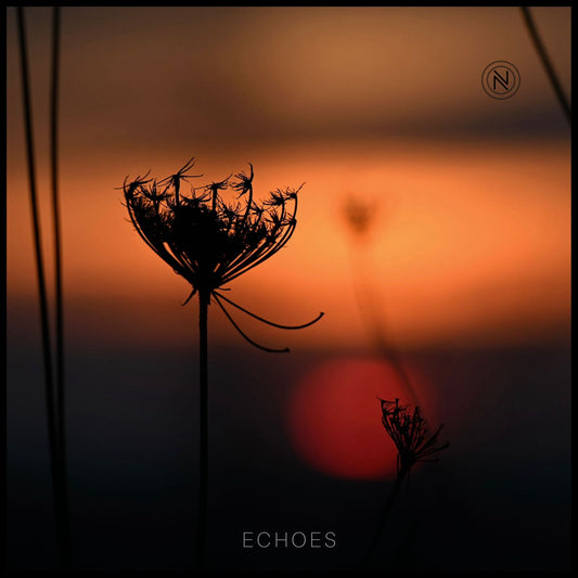 'Echoes' Piano Sheet