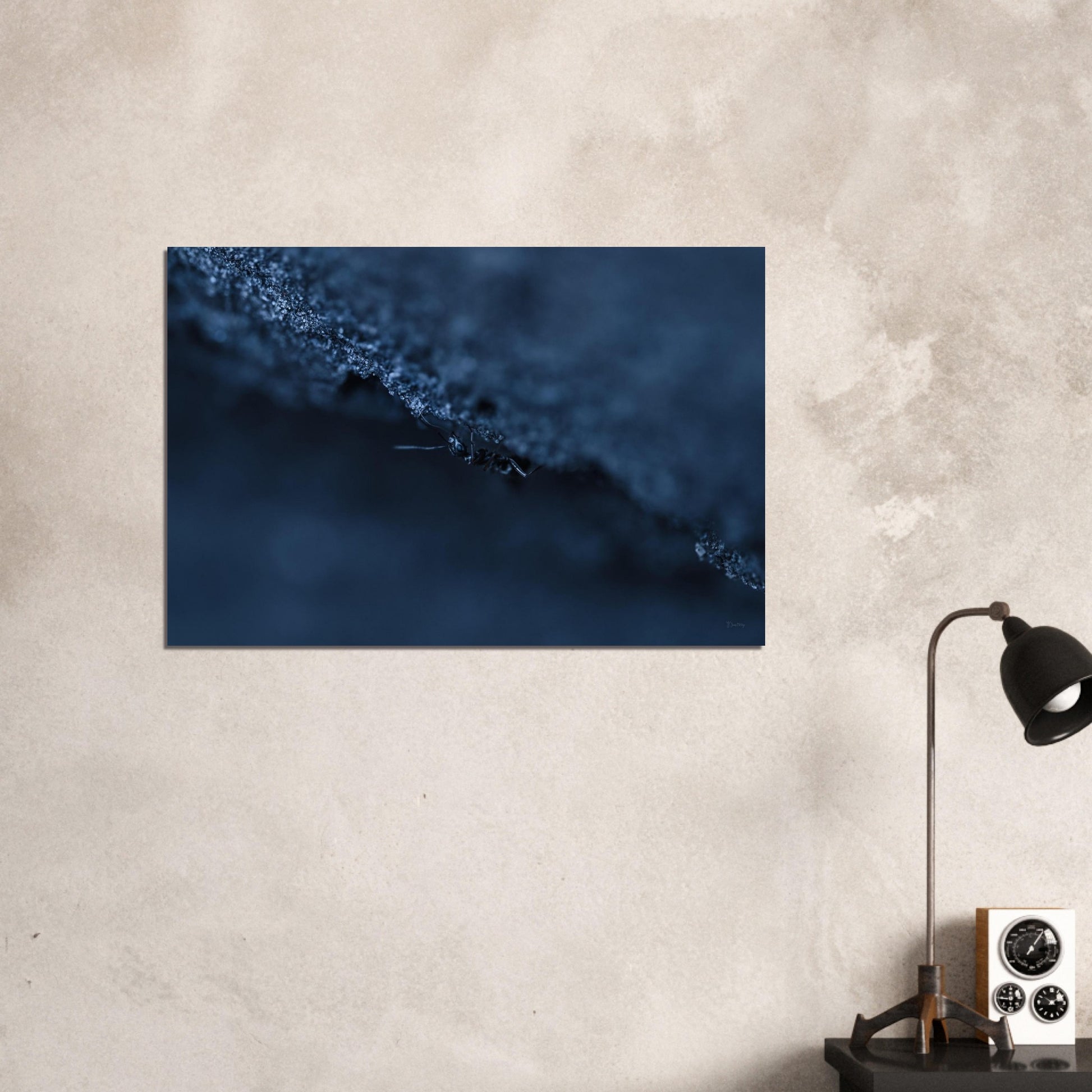 3cc71895-50c7-4497-bd31-3f57299f6981