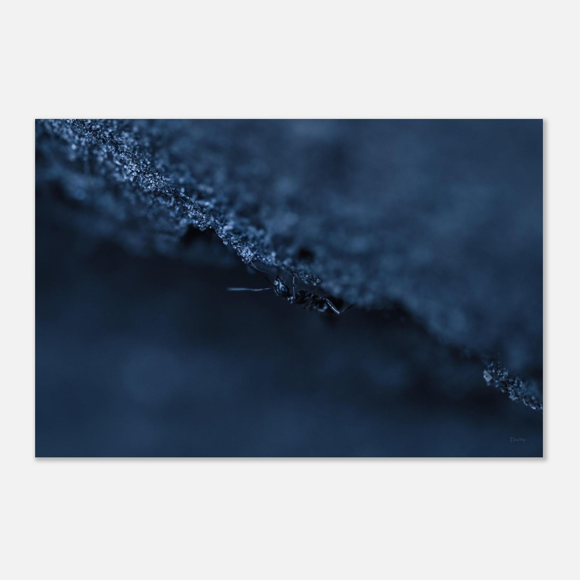 6d7b34d9-8232-4a14-990e-fba888596ee1