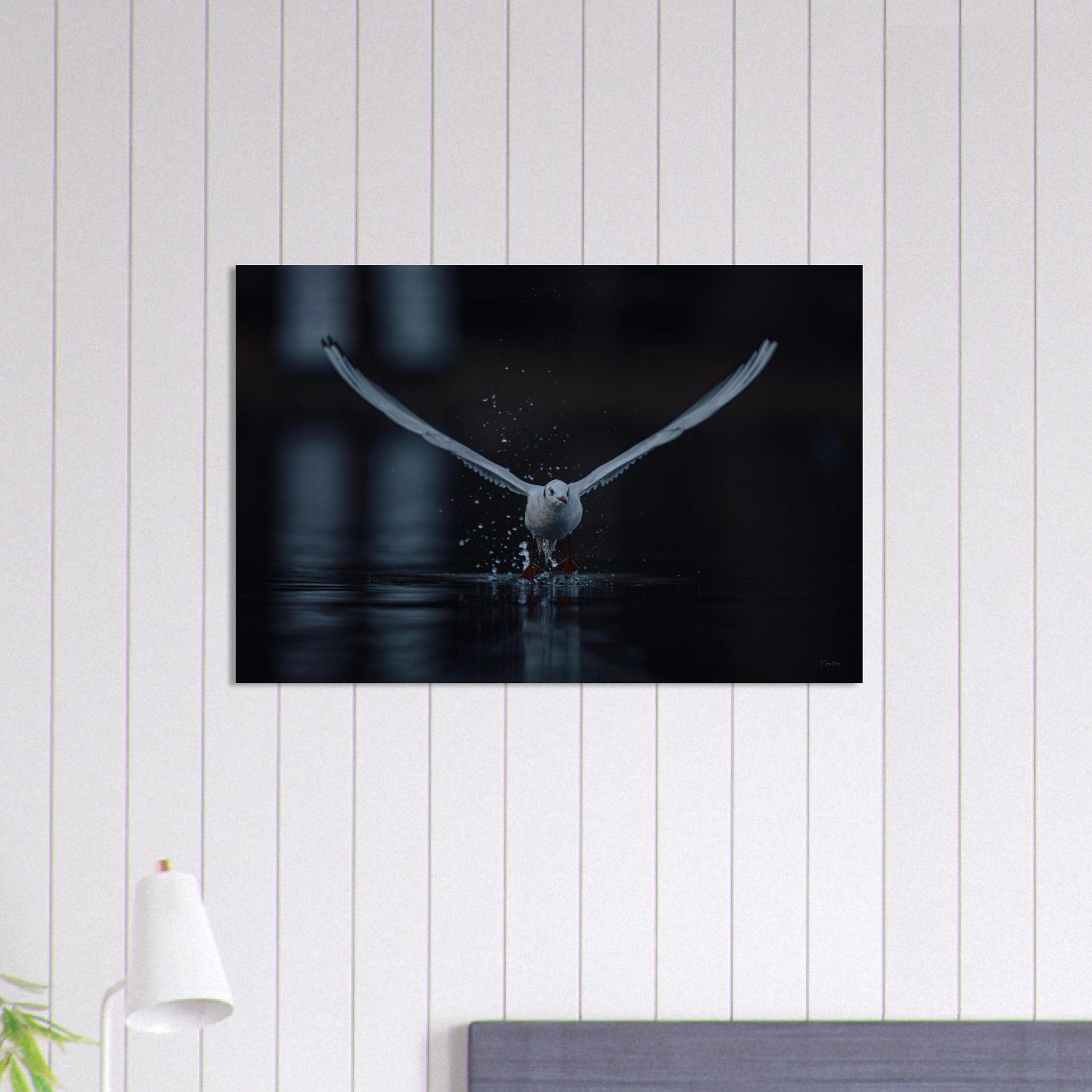 a83a4844-1756-4349-8658-8f31b8911aa4