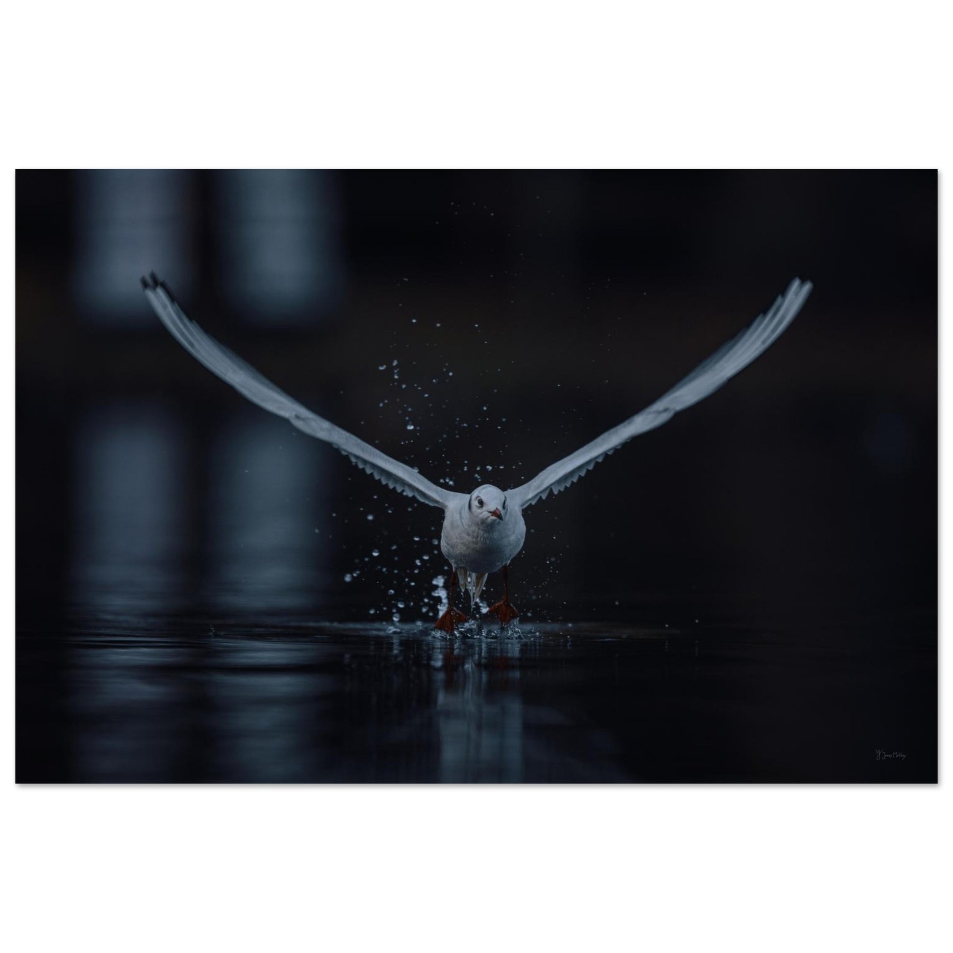 b4b86c53-15a9-42e7-bd3d-dca507c67fd9