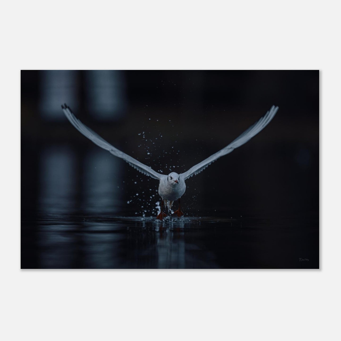 c313c8c8-bb74-495c-a7ab-53fca9ff03a8