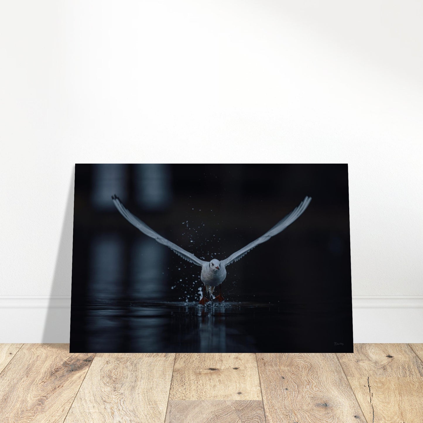 fdc8bfe8-3bfc-47c0-8fb1-badf85153058